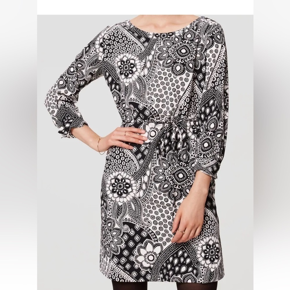 Ann Taylor LoFT Shirt Dress Gypsy Rose Floral S